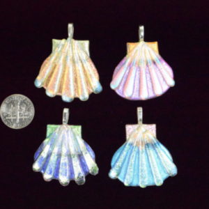 dichroic large sea shell