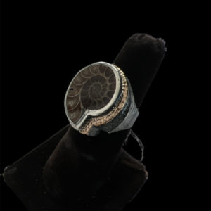 ammonite fossil ring